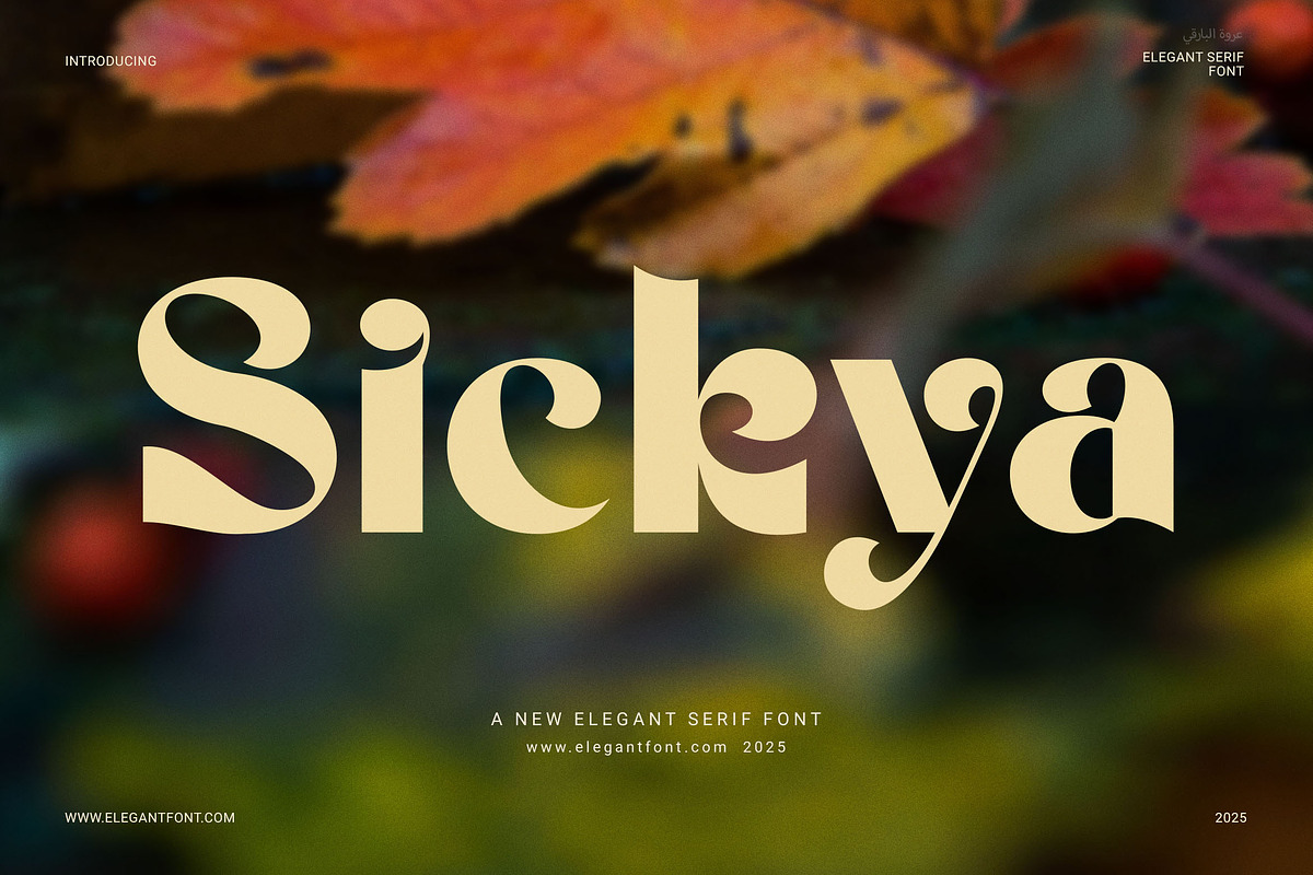 Sickya Elegant Serif Font, a Serif Font by Elegant Font (Photo 1 of 8)