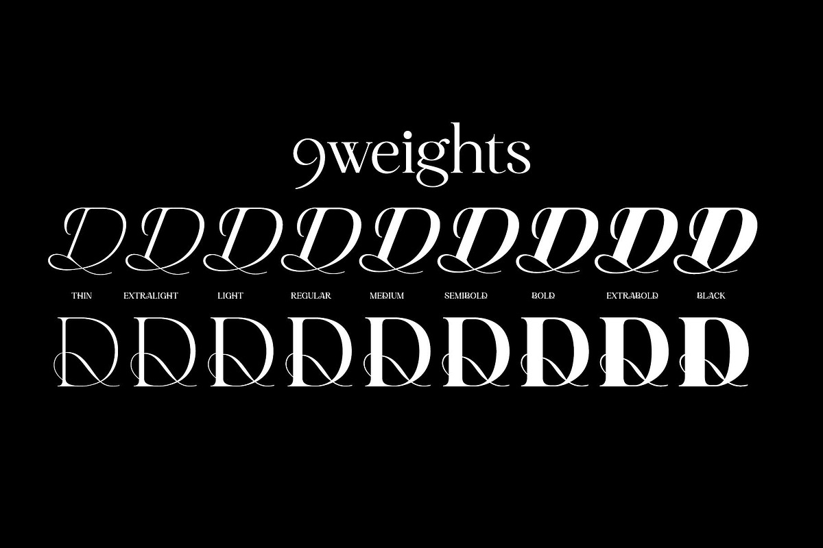 Ceciliany Serif Font Family, a Serif Font by Ryul Davidson (Photo 7 of 25)