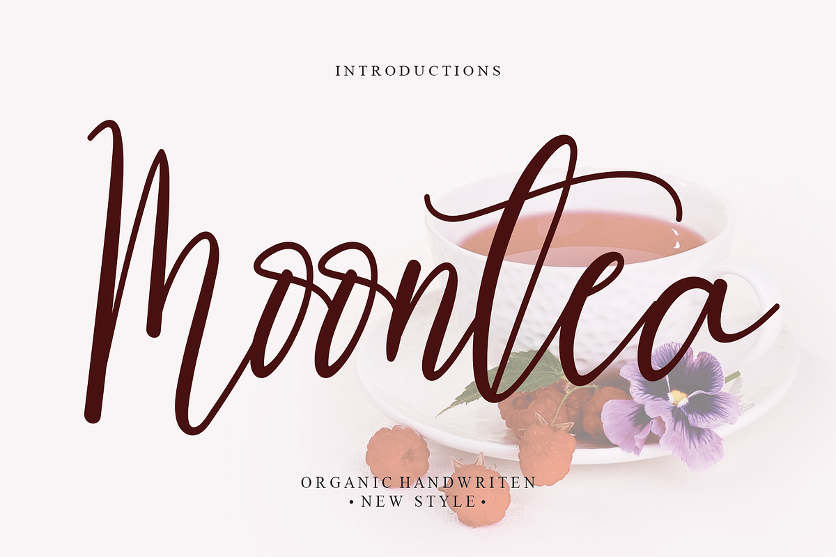 Bundles Script font Collections, a Script Font by Scratchones (Photo 11 of 35)