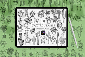 Cactuses Procreate Stamps Bundle
