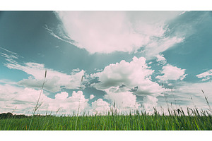 Countryside Rural Field Landscape, a Graphic by Our Amazing World