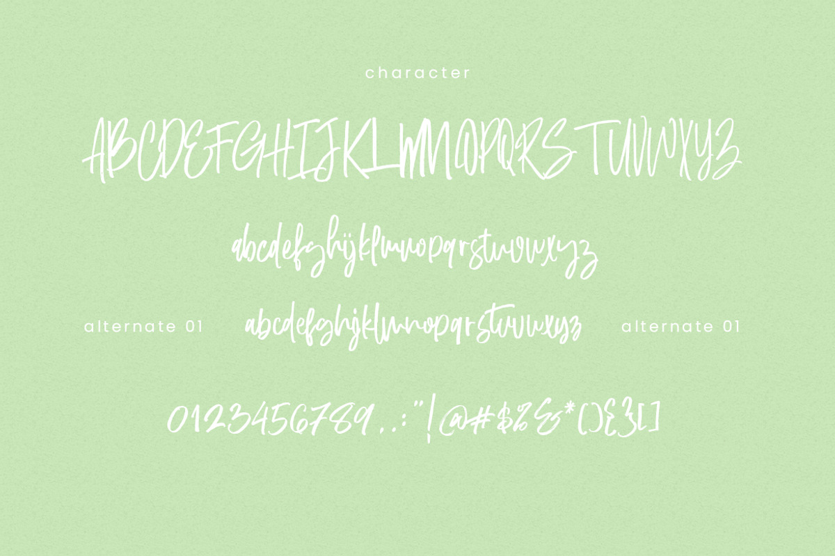 Dust in the wood font preview 6