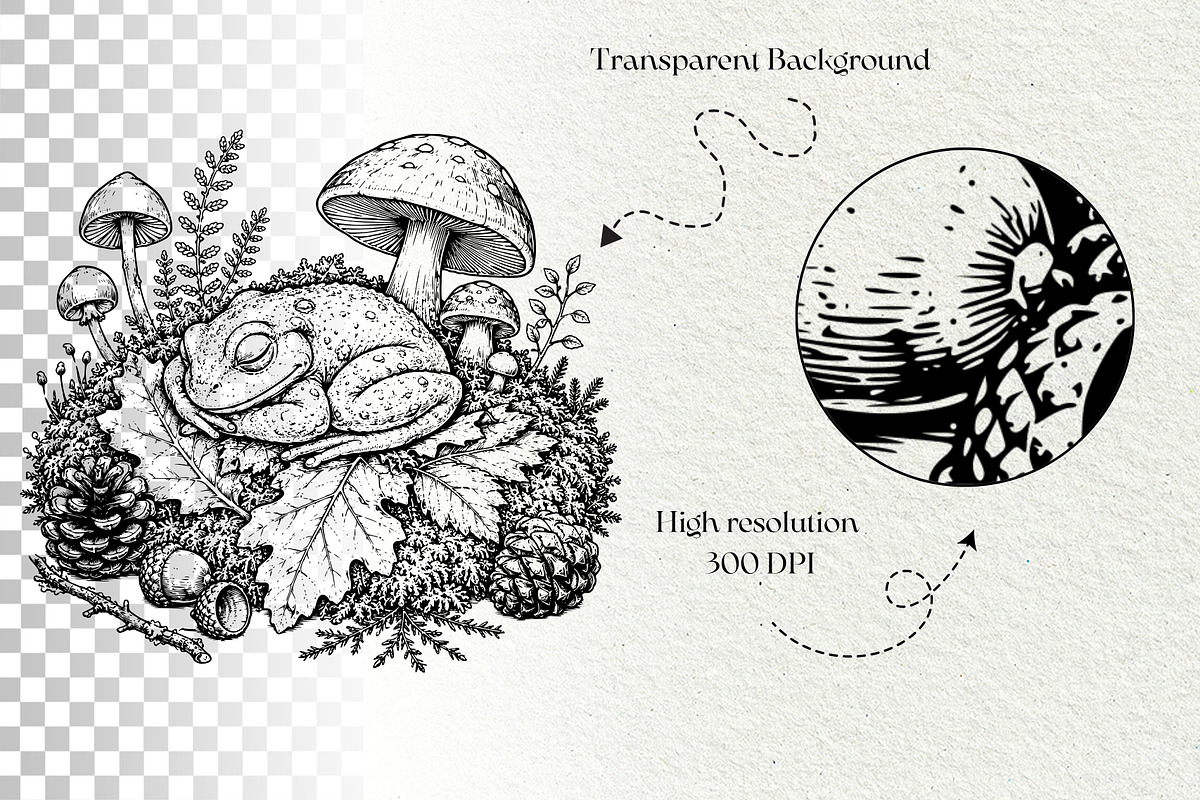 Woodland Frog Engraving Bundle, an Animal Illustration by DENIDigitalArtSudio (Photo 7 of 7)