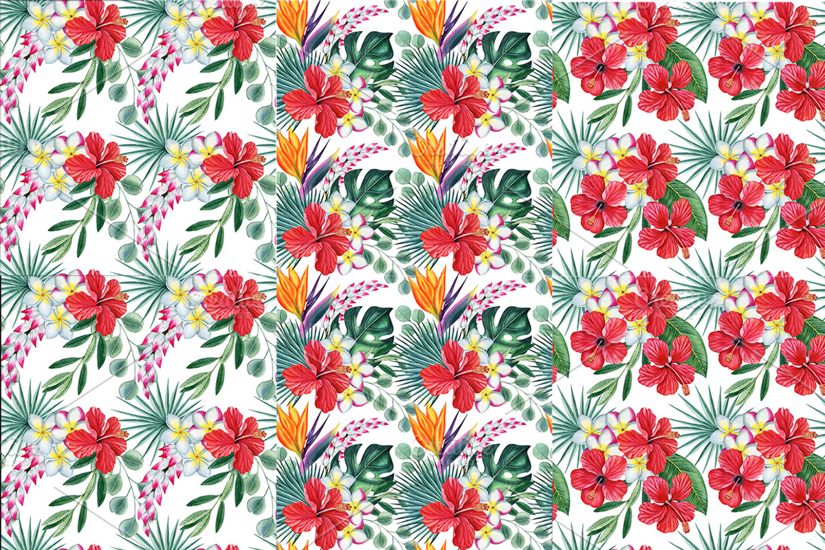 Tropical plants set, an Illustration by Watercolor life (Photo 13 of 13)