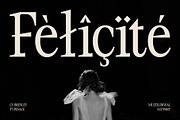 CS Brinley – Classic Font, a Serif Font by Craft Supply Co. (Thumbnail 4 of 8)