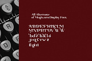 Mugiwara Swashy Serif, a Serif Font by Typegoals Studio (Thumbnail 7 of 9)