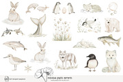 100 polar animal clip art, an Animal Illustration by Poppy Lane Studio (Thumbnail 3 of 12)