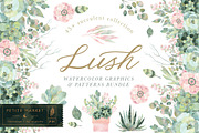 Lush Succulent Bundle, an Illustration by PetiteMarket (Thumbnail 1 of 5)