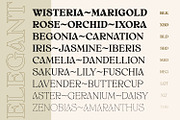 White Wisteria Fonts Family, a Serif Font by Asenbayu (Thumbnail 9 of 13)