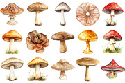 Watercolor Mushrooms Clipart Bundle, an Illustration by Pixels.Craft (Thumbnail 3 of 4)