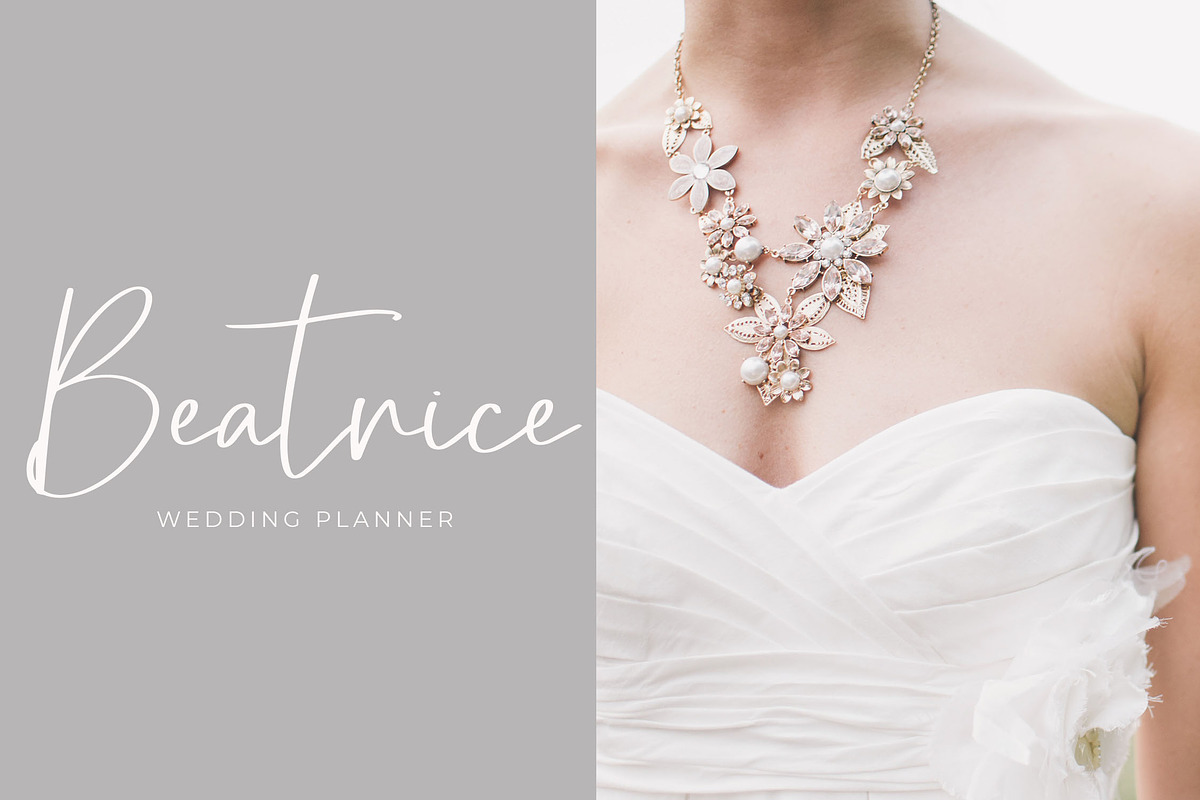 Sofija Elegant Script Font, a Script Font by NTC Graphic (Photo 4 of 9)