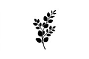Eucalyptus Foliage Silhouette Set, an Object Graphic by Designs_River (Thumbnail 3 of 3)