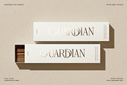 Frosty Garden - Elegant Retro Serif, a Serif Font by SilverStag Type Foundry (Thumbnail 11 of 19)