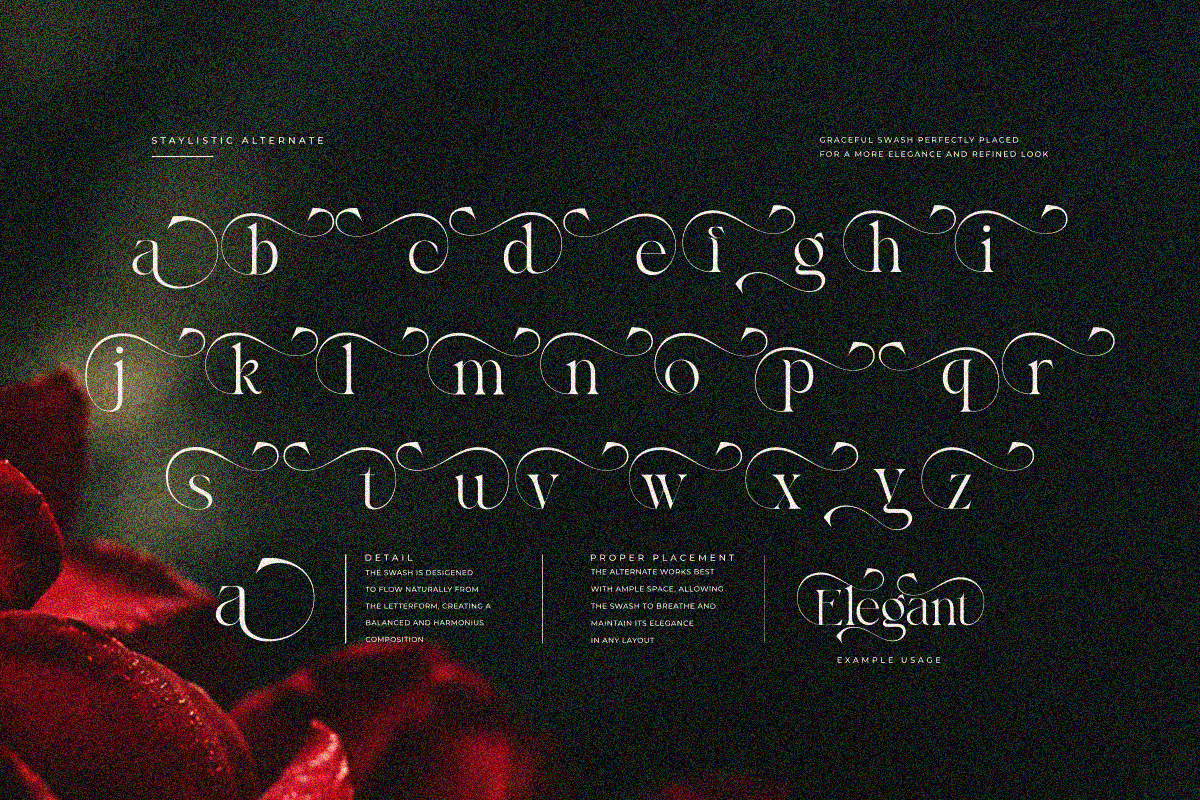 Bayari, a Serif Font by zaaintype (Photo 5 of 11)