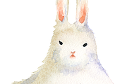 Easter bunny watercolor clipart set, an Animal Illustration by masha gross (Thumbnail 2 of 4)