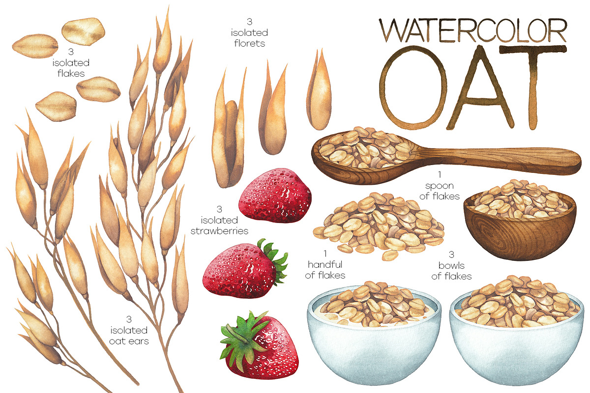 Watercolor oat and milk, a Food Illustration by Ekaterina Glazkova (Photo 2 of 7)