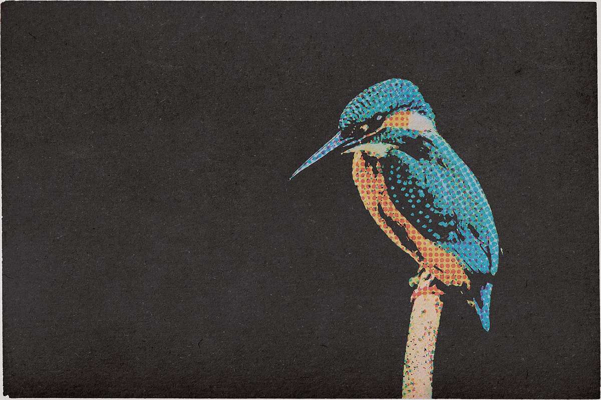 True CMYK Halftone Template, a Layer Style Add-On by bbymedia.store (Photo 14 of 30)