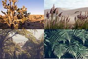 12 Photo Packs - 144 Nature Photos, a Nature Photo by PhotoMarket (Thumbnail 2 of 13)