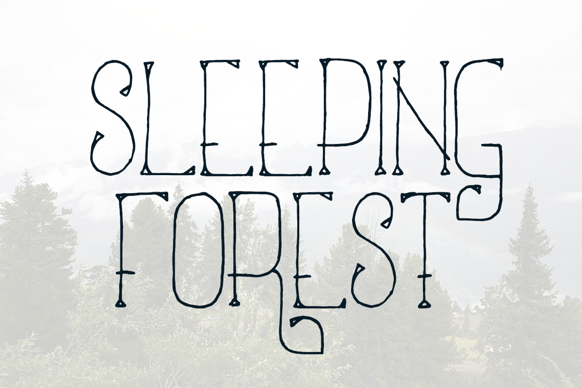 Sleeping Forest, a Serif Font by TypeKatsu (Photo 1 of 4)
