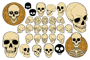 Skele Skull Vector Pack, an Illustration by Vectory by BSC (Thumbnail 2 of 3)