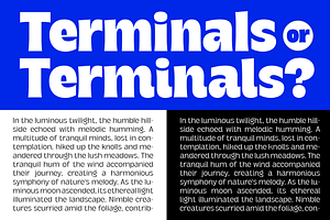 DT Serifia Sans Playful Grotesque