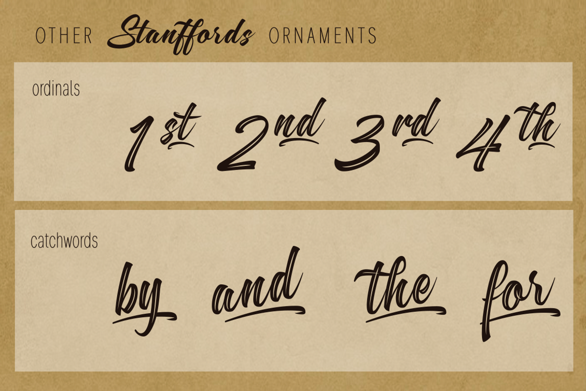 Stanffords preview 4
