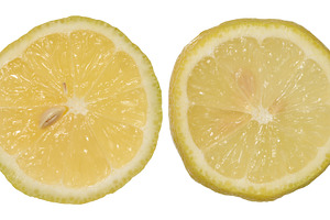 Round lemon slices with juicy pulp on isolated background, a Food & Drink Photo by ndanko