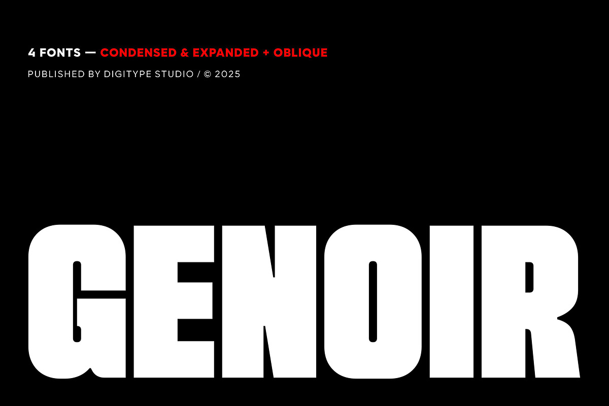 Genoir – Bold Display Font Family, a Font by Digitype Studio (Photo 1 of 10)