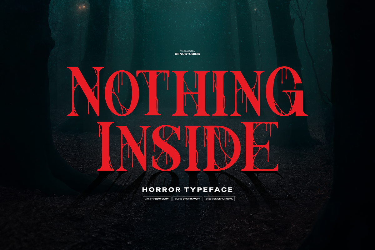 Nothing Inside | Horror Typeface, a Serif Font by Denustudios (Photo 1 of 12)