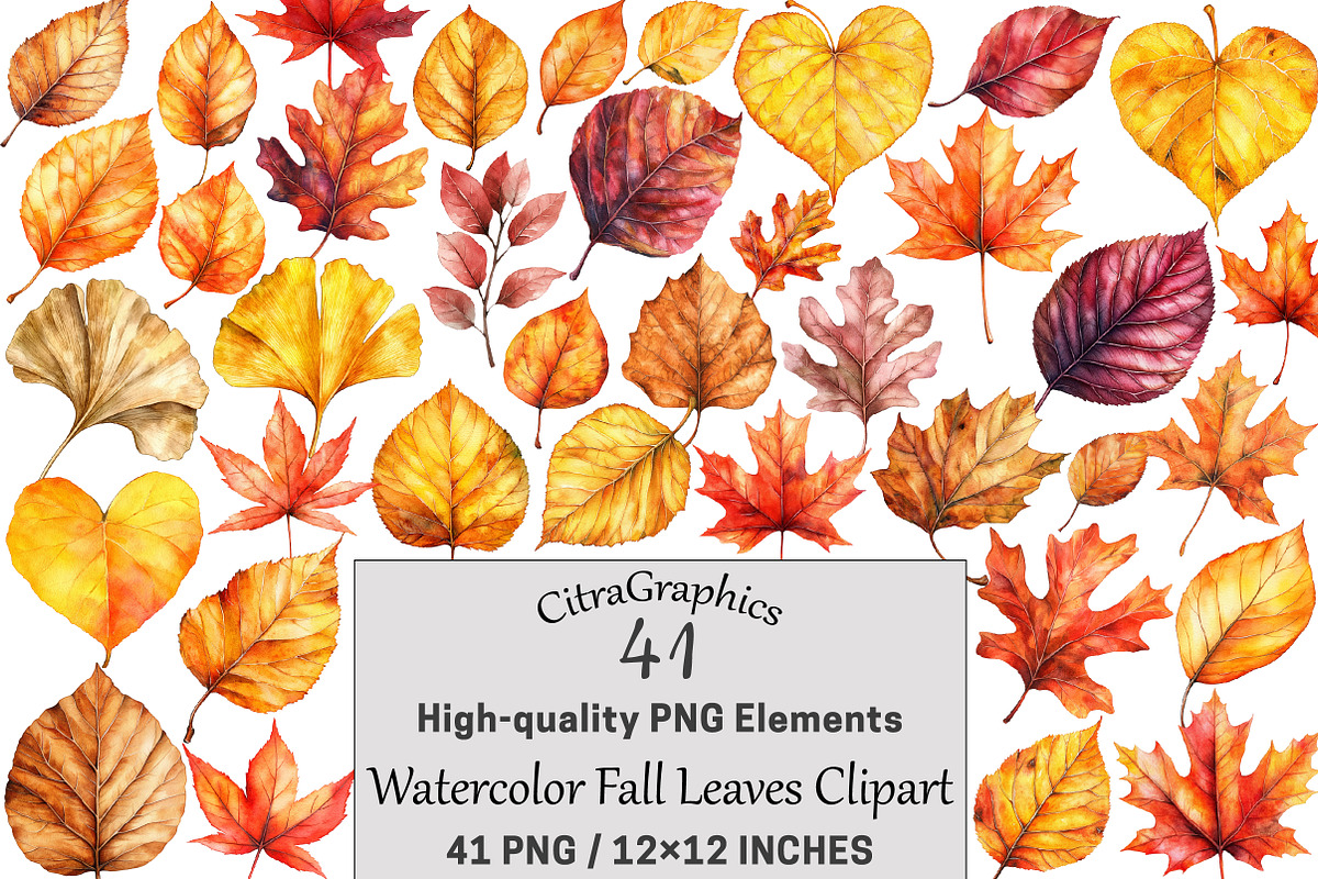 Watercolor Fall Leaves Clipart, a Seasonal Illustration by CitraGraphics (Photo 1 of 5)