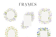 Watercolor Summer Wildflowers, an Illustration by polikarpovaart (Thumbnail 9 of 16)