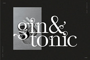 The Modern Font Bundle Vol.5 80% OFF, a Sans Serif Font by Tropical Type (Thumbnail 26 of 43)