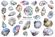 Watercolor pearl shell clipart 28PNG, an Object Illustration by Art and Funny (Thumbnail 2 of 3)