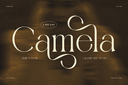 Camela Elegant Serif Font, a Serif Font by Graphicxell (Thumbnail 1 of 8)