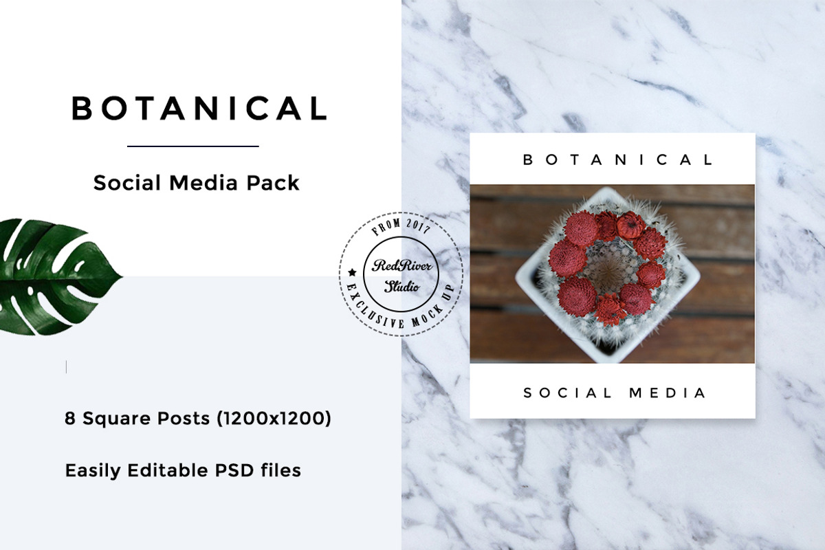 Botanical Social Media Pack, a Templates & Theme by RedRiver Studio (Photo 8 of 12)