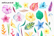 Watercolor Tropical Floral Pack, a Background Graphic by LarysaZabrotskaya (Thumbnail 2 of 5)