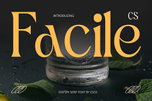 CS Facile – Elegant Font
