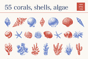 Undersea World - vector &png, an Animal Illustration by Anatartan Design (Thumbnail 4 of 13)