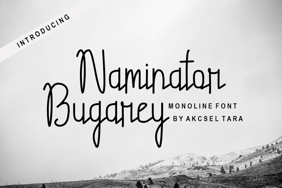 Naminator Bugarey - Monoline Font, a Script Font by Akcsel Tara (Photo 1 of 9)