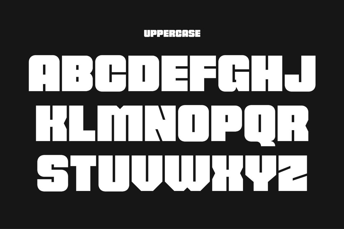 Flarbo, a Sans Serif Font by Brand_Hero (Photo 10 of 12)