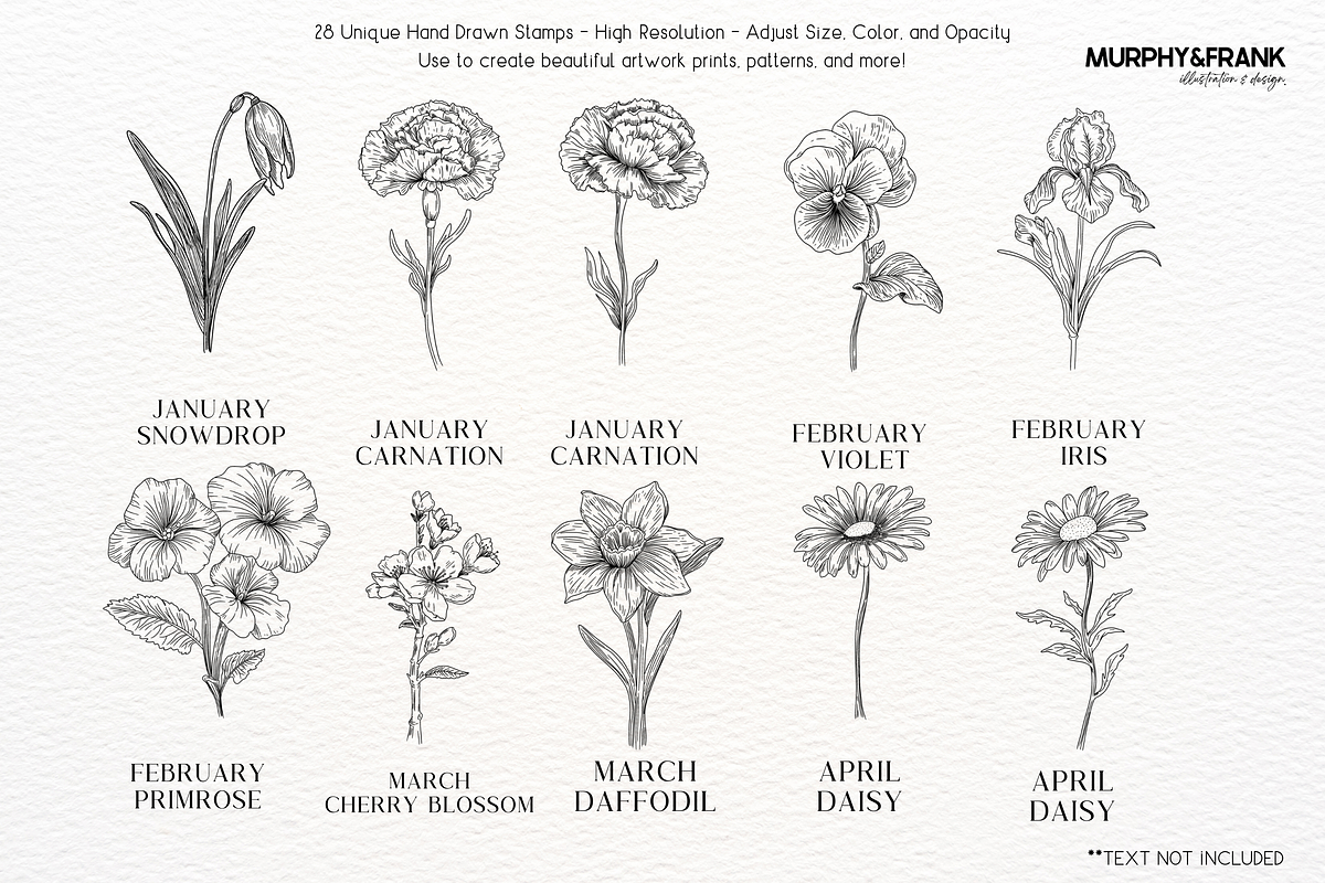 Birth Flower Procreate Brush Stamps, a Brush Add-On by Murphy & Frank (Photo 2 of 4)