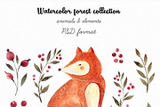 Watercolor autumn collection, an Animal Illustration by MoleskoStudio (Thumbnail 4 of 10)