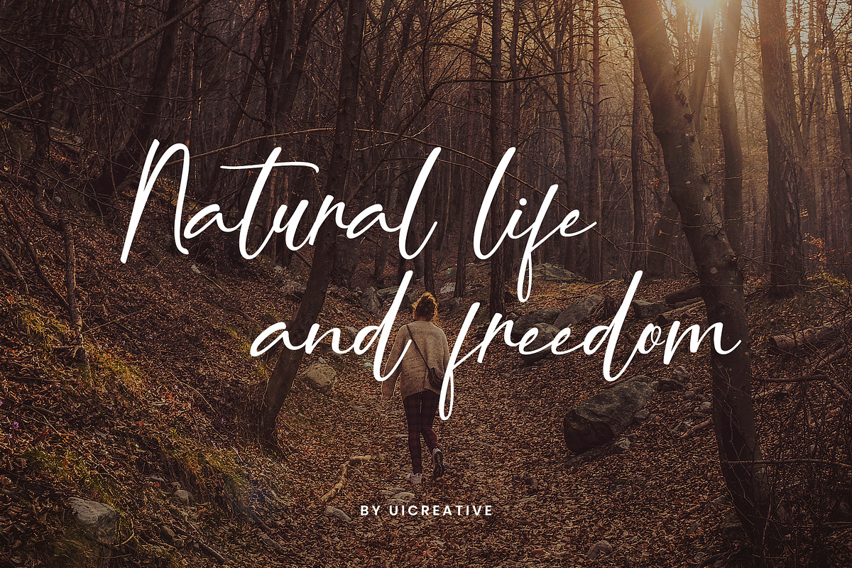 Maya Ophelia Signature Font, a Handwritten Font by UICreative (Photo 3 of 13)