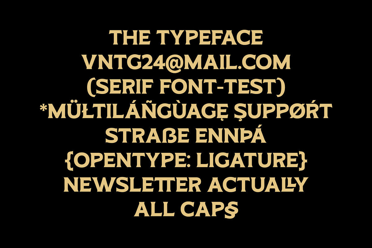 ED Pinehouse Vintage Serif, a Serif Font by Emyself Design (Photo 4 of 10)