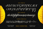 Billotea Typeface, a Script Font by alit design (Thumbnail 3 of 20)