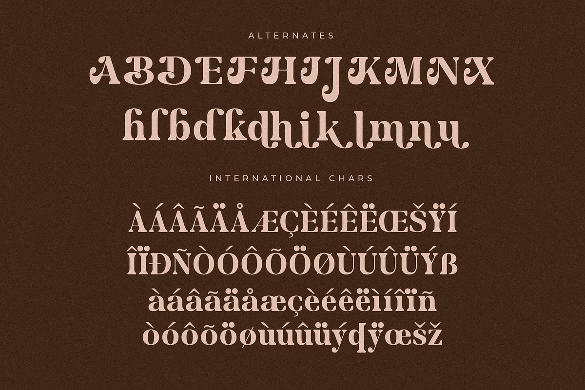 Merifto Modern Serif Font, a Serif Font by Storytype Studio (Photo 14 of 15)
