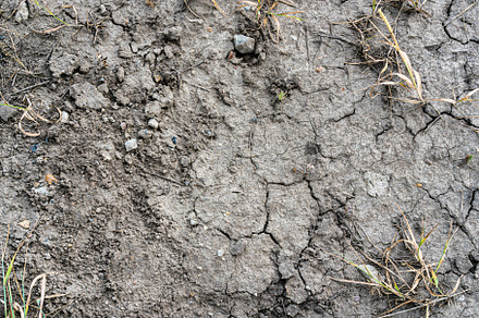 Texture of dry cracked earth., an Abstract Photo by Eugene_Photo