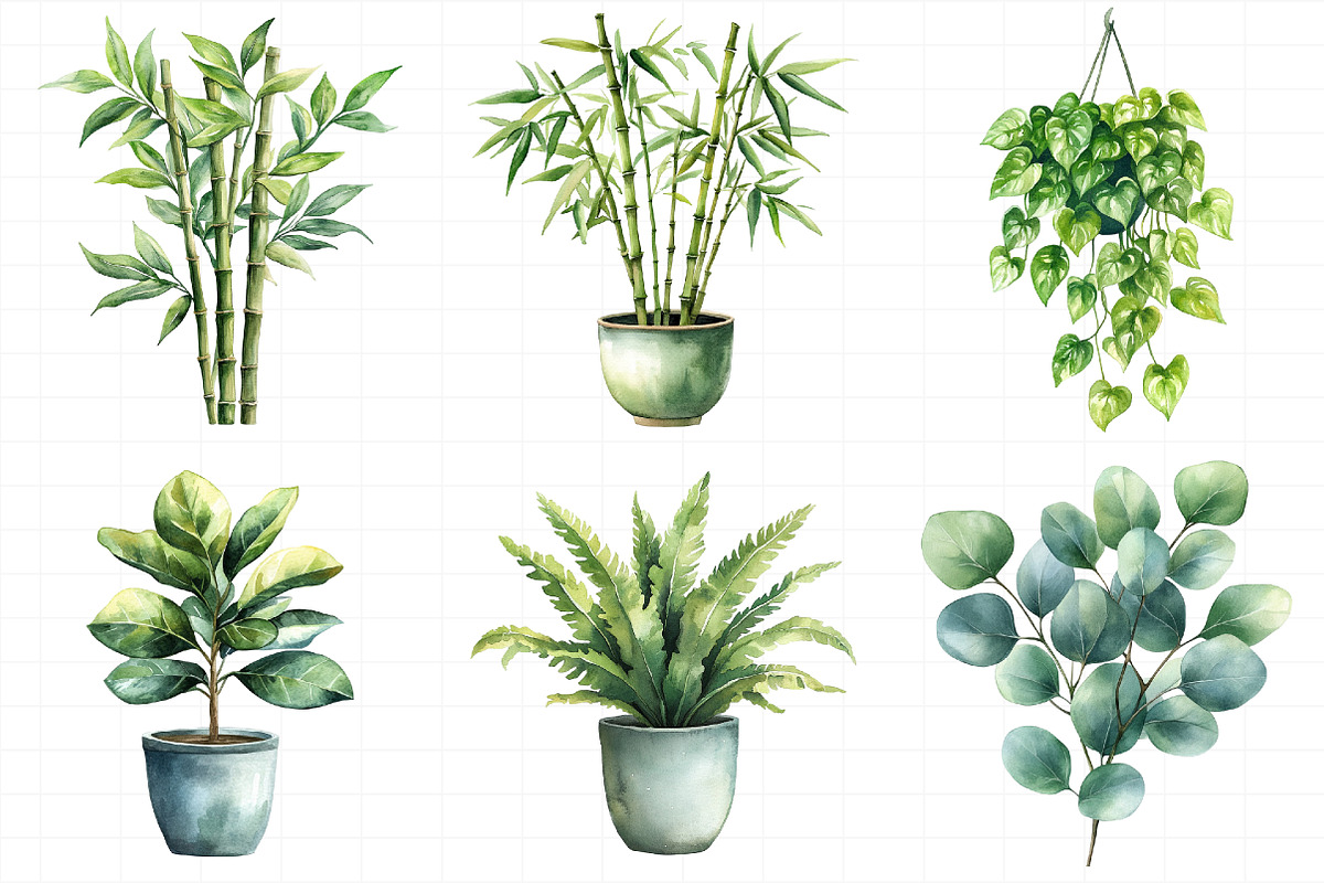 Watercolor Home Plants Clipart, an Illustration by Daily.Designs (Photo 6 of 8)
