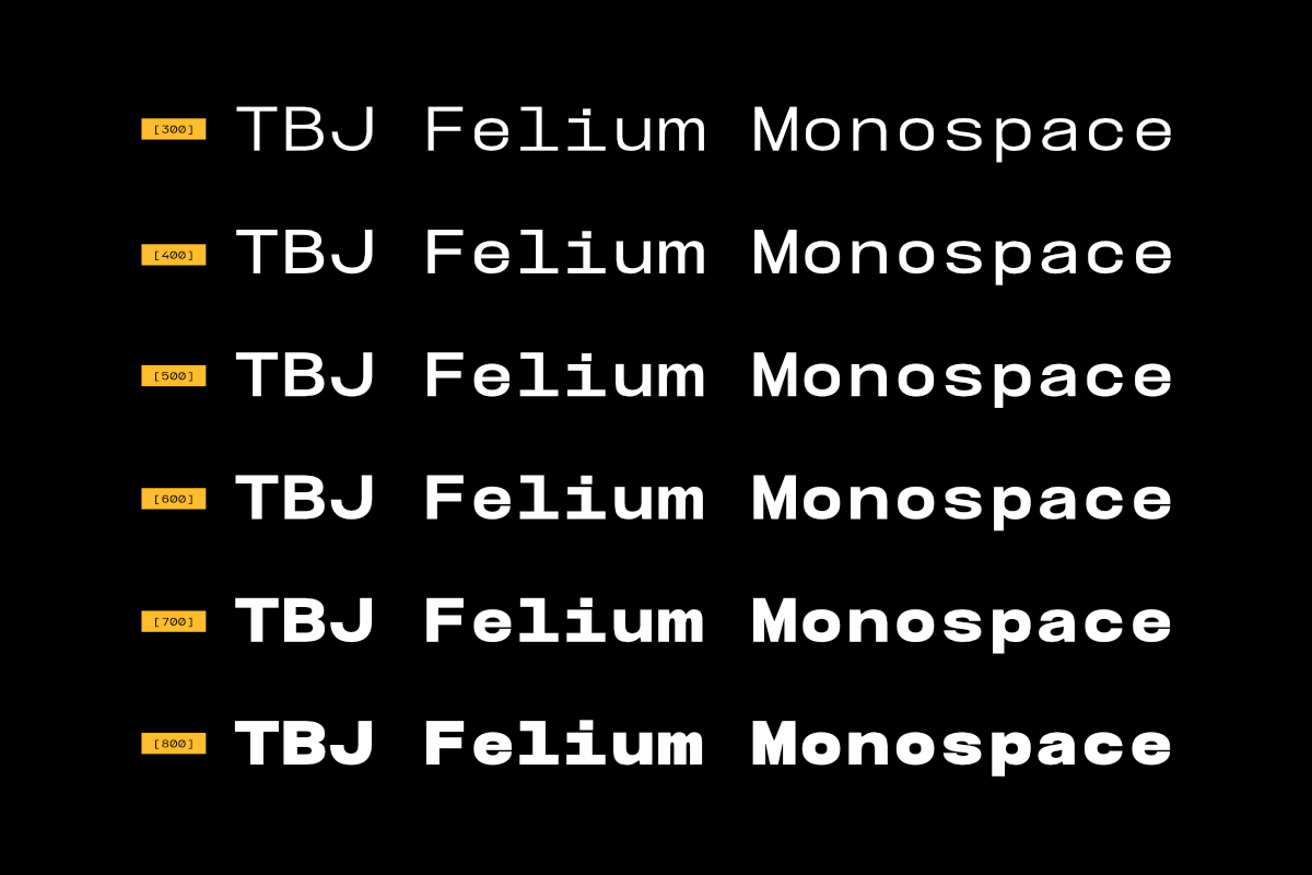 TBJ Felium Monospace Clean Modern, a Sans Serif Font by Taboja Studio (Photo 4 of 15)