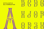 Roses Queen, a Serif Font by Nathatype (Thumbnail 7 of 11)
